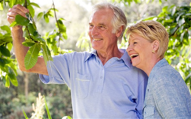 Is it possible to restore the work book