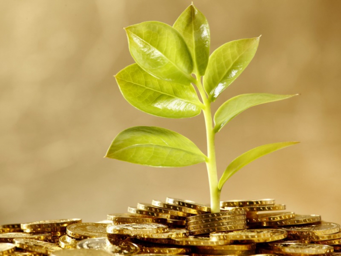 where do the money live