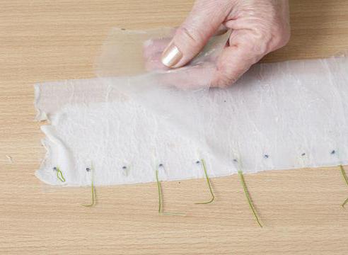 growing tomato seedlings without a pick