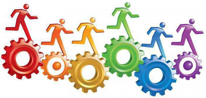 business process audit