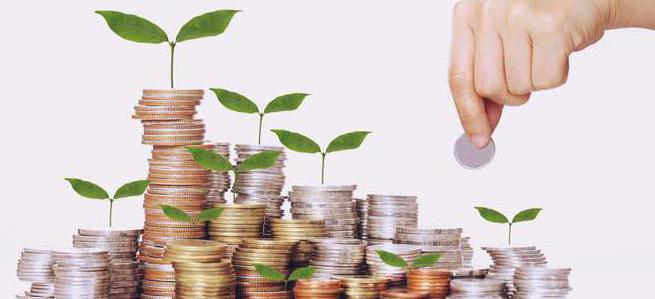 How to calculate dividends LLC