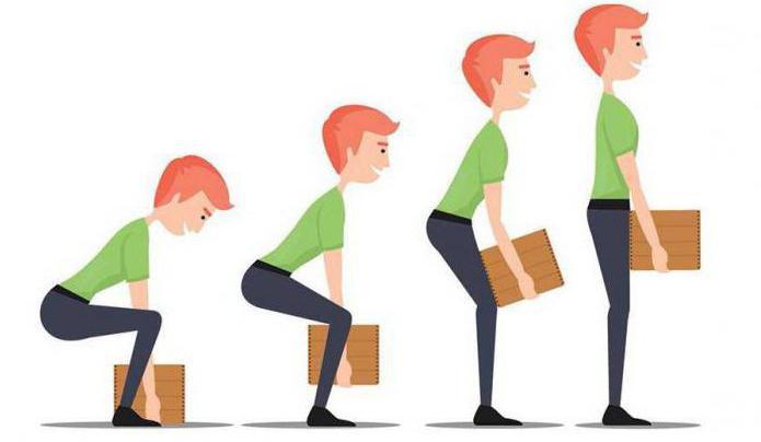 ergonomics of the user's workplace