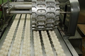 Business plan for the production of dumplings