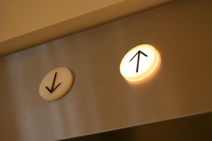 meaning of the word theory