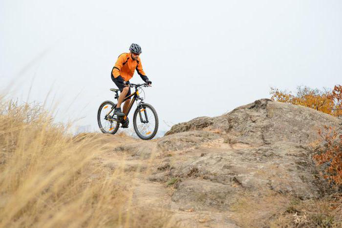 voluntary insurance contract