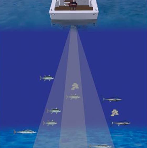 how to choose a fish finder