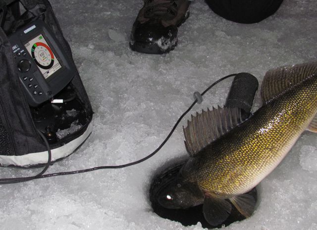 how to choose a fish finder for winter fishing