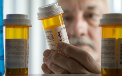 Causing death by negligence: species.