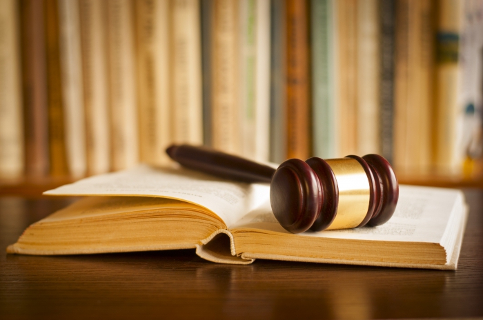 Criminal Procedure Law.