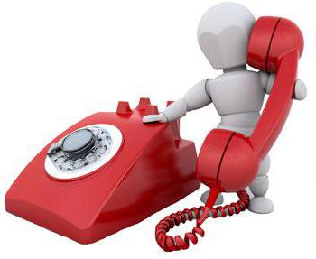 term of investigation of an industrial accident