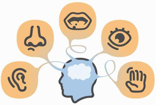 information processes and technologies