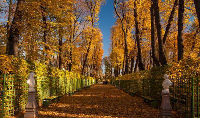 Summer garden in St. Petersburg