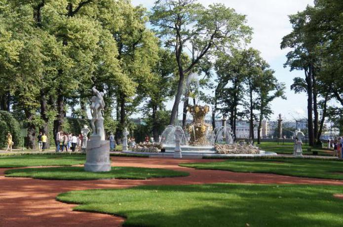 summer garden in autumn