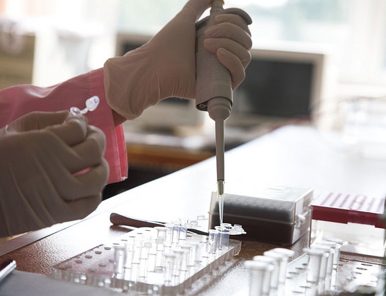 Genetic examinations cost, terms