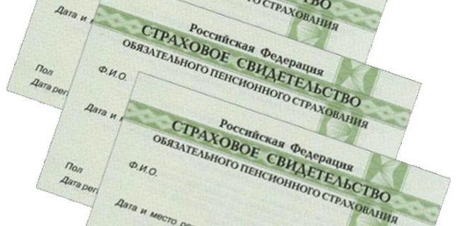 where to get snls on a child in Moscow