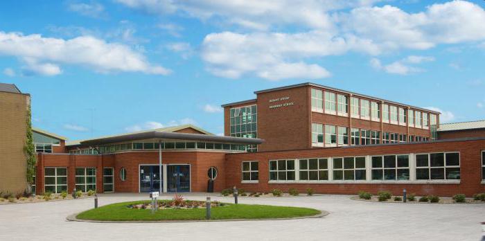 social rights and freedoms