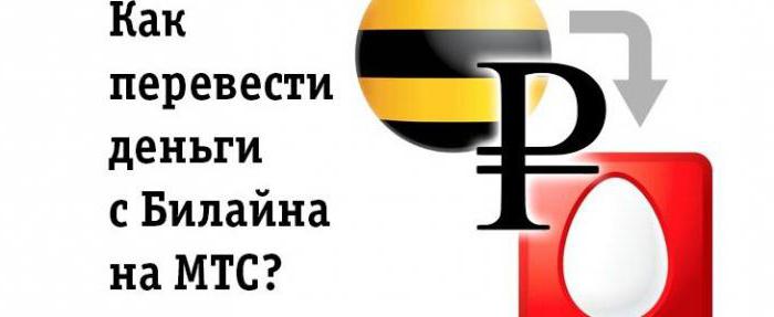 how to transfer from beeline to pay