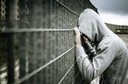 responsibility for animal cruelty