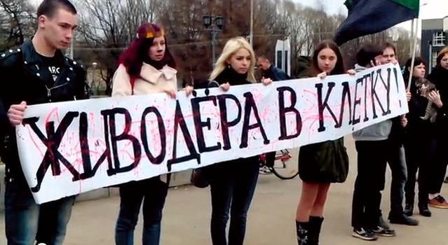 animal cruelty article 245 cc