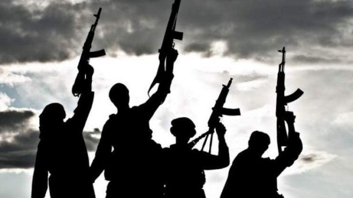 205 article terrorism