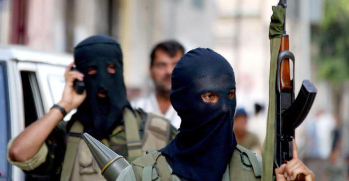 205 article of the criminal code