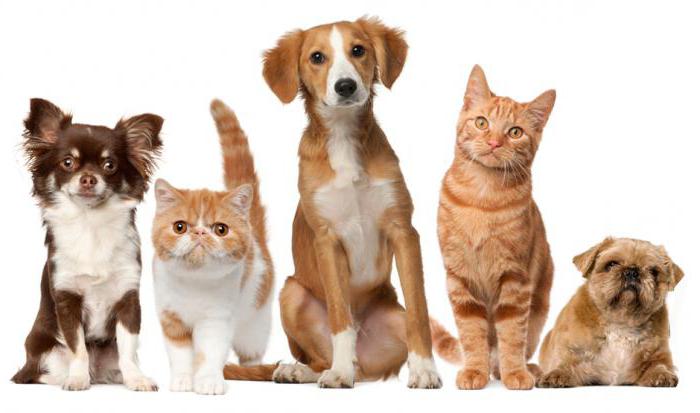 what non-food items are not refundable