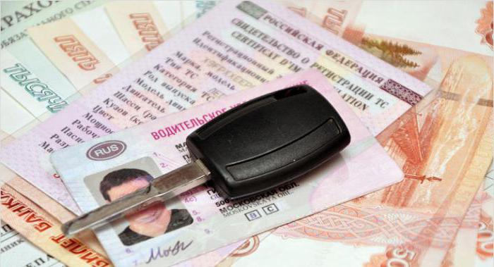 are driver's licenses an identity card