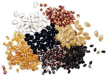 seed packing at home