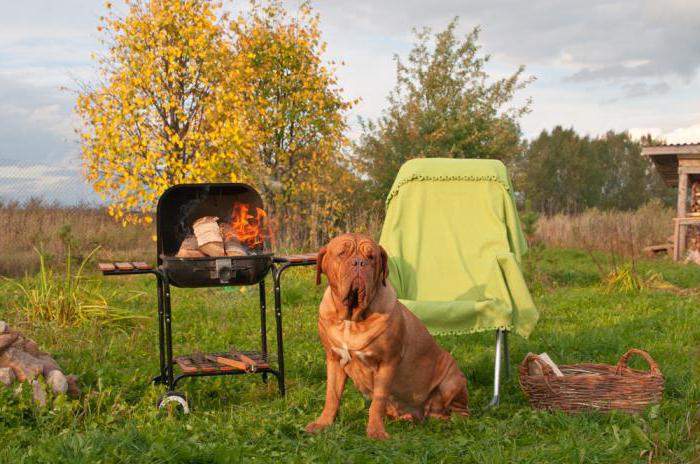 where you can fry kebabs in Moscow