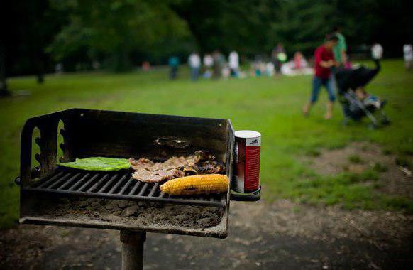 where to cook kebabs