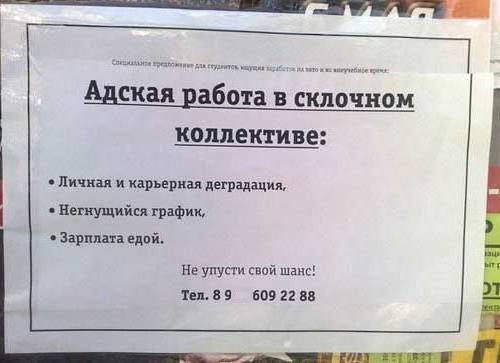 job advertisement sample example