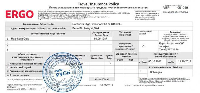 reviews about the company ergo rus