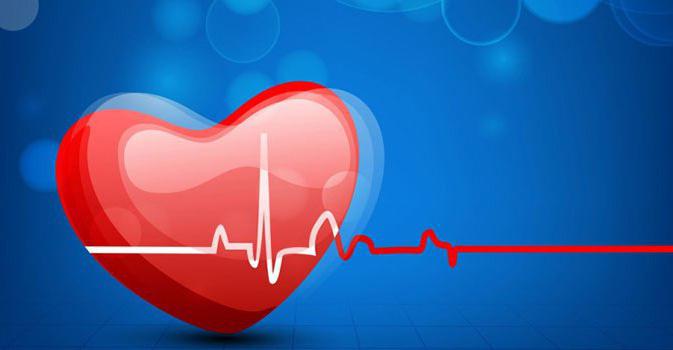 anchor customer reviews