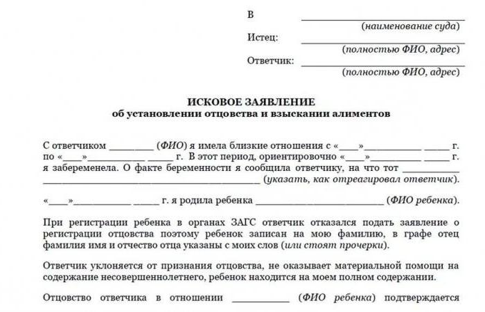 sample application for establishing paternity and collecting child support