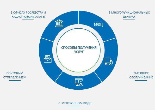 extract from egrp online