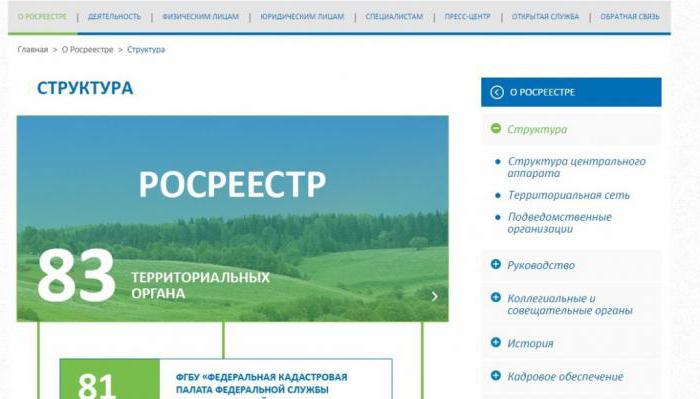 how to issue a waiver of a share in the apartment