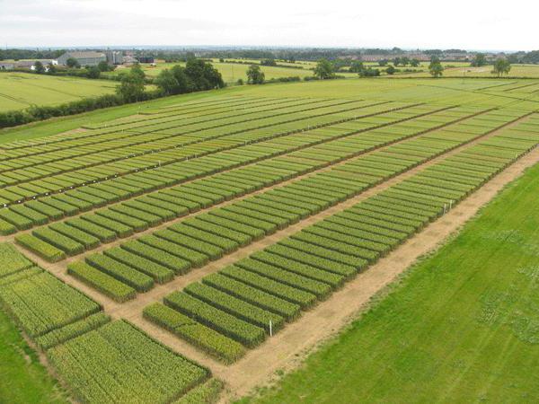 land as an object of ownership article