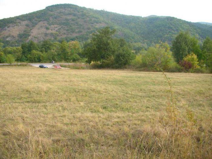 land ownership definition