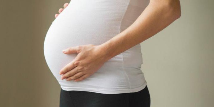 application for leave before decree sample 2017