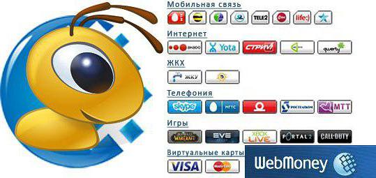 electronic money electronic wallet