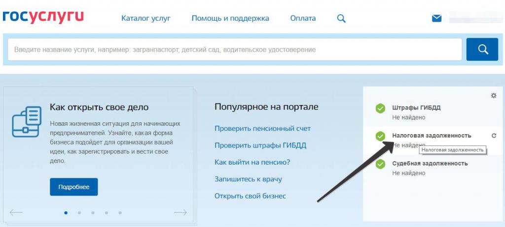Government services - where to look for a debt search service