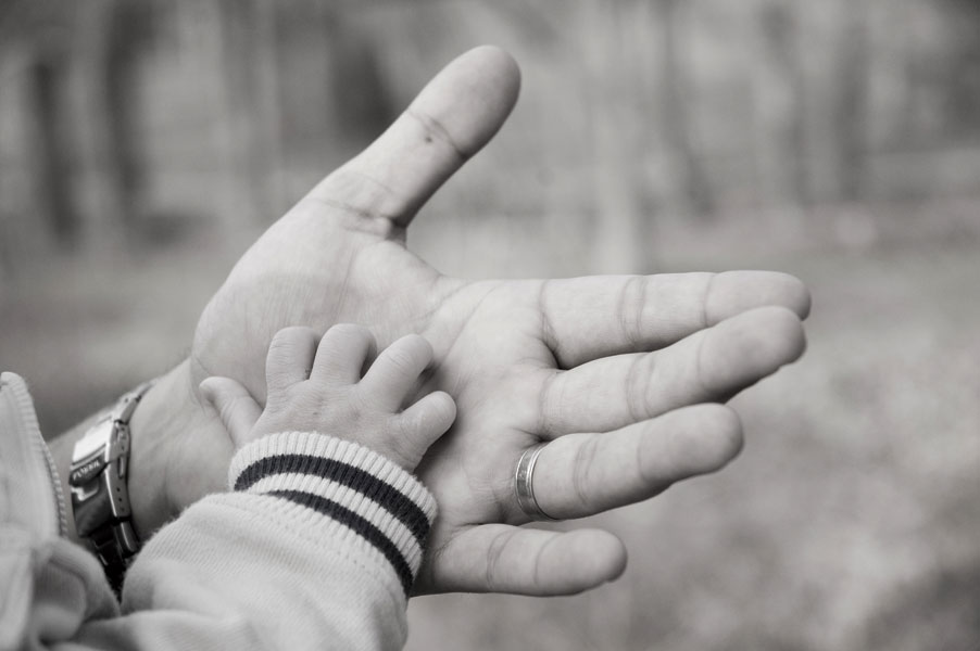 Registration of state support for dad