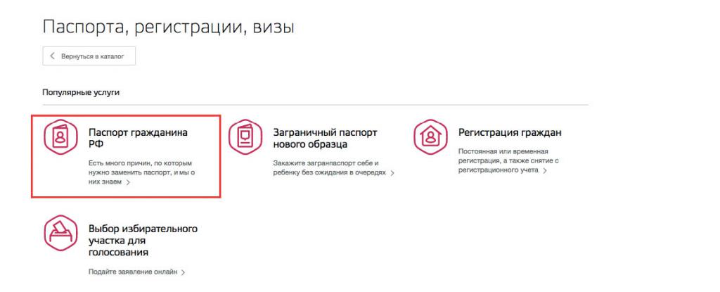 Public services and passport exchange of the Russian Federation