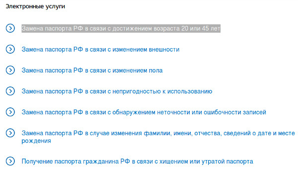 Government services and passport replacement