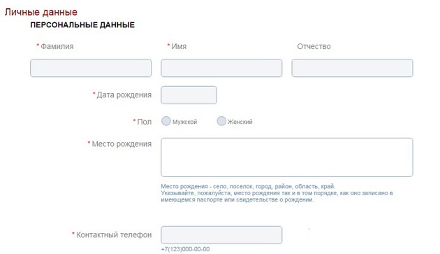 Replacing a passport through public services