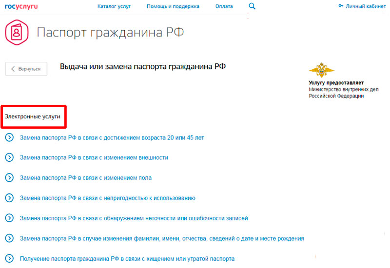 Passport replacement in case of loss
