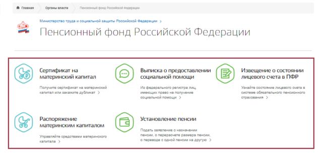 Government services and obtaining SNILS