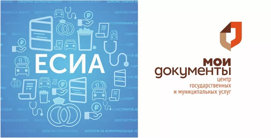 Where to confirm the profile from State services