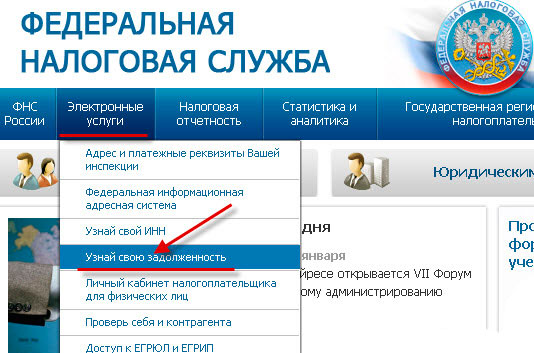 Website of the Federal Tax Service of the Russian Federation and tax debt verification