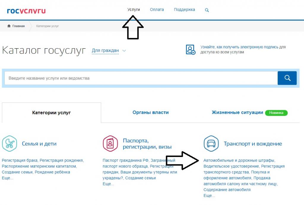 Government services and penalties